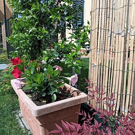 Casa Vacanze Rustico Di Corte Capannori Ngoại thất bức ảnh