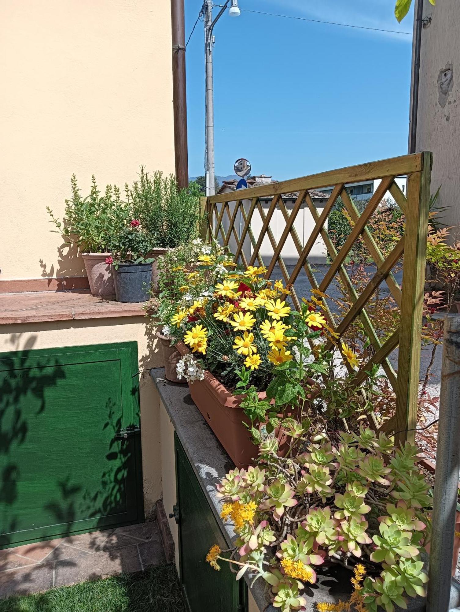 Casa Vacanze Rustico Di Corte Capannori Ngoại thất bức ảnh