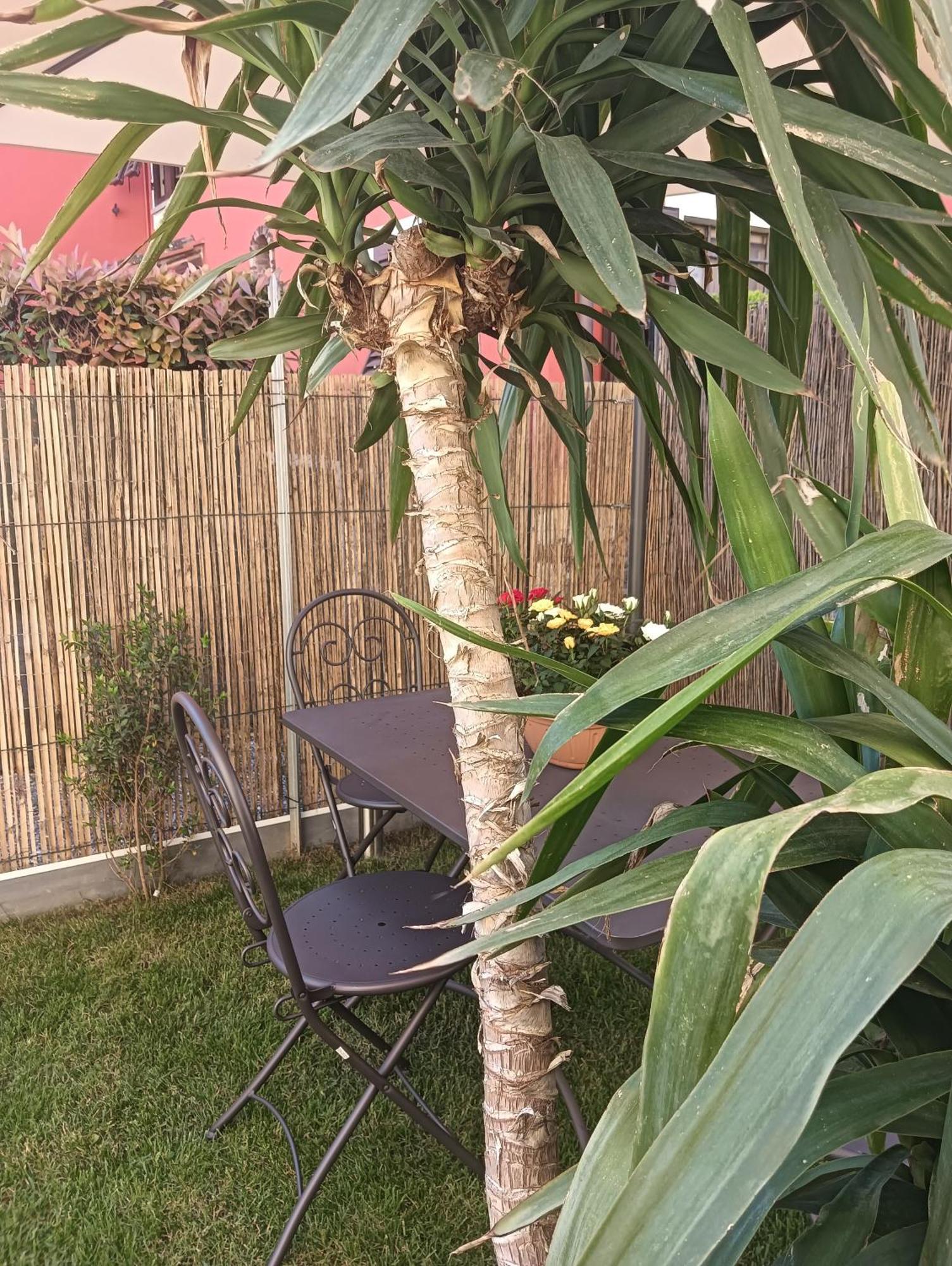 Casa Vacanze Rustico Di Corte Capannori Ngoại thất bức ảnh