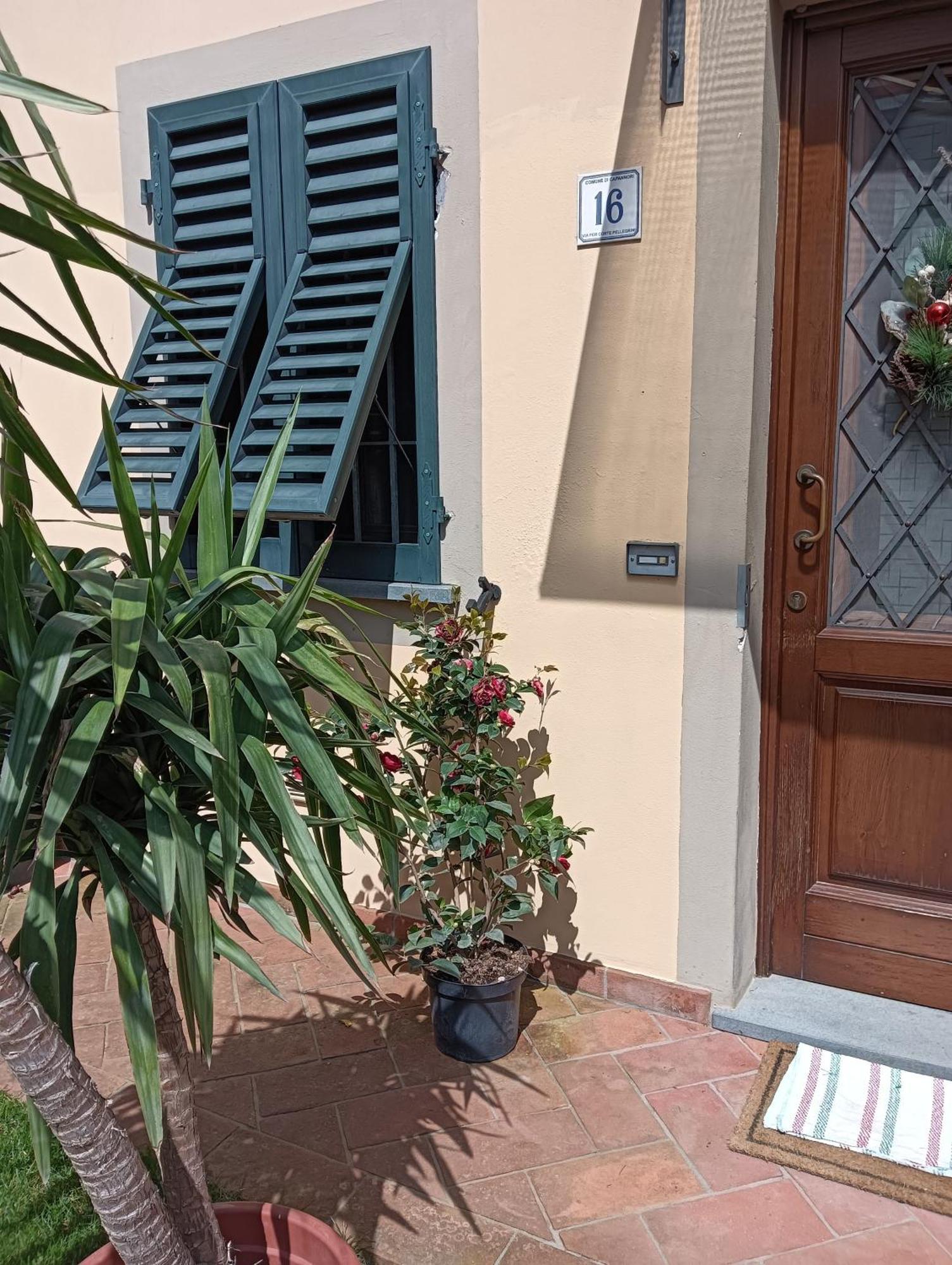 Casa Vacanze Rustico Di Corte Capannori Ngoại thất bức ảnh